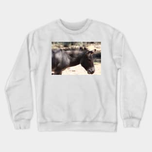 Closeup of Mule - Arizona Crewneck Sweatshirt